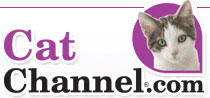 Cat Channel