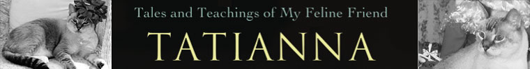 Tatianna - Tales and Teachings of My Feline Friend